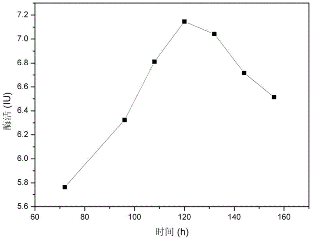 β-glucosidase high-producing bacteria and its application in the transformation and preparation of resveratrol