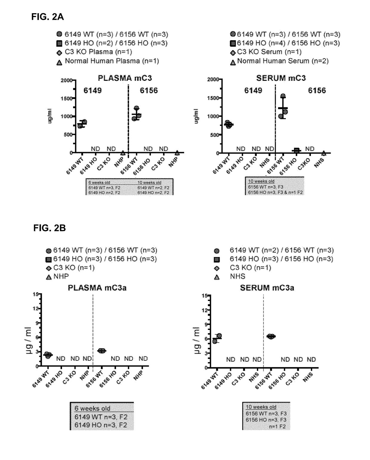 Humanized model of kidney and liver disorders