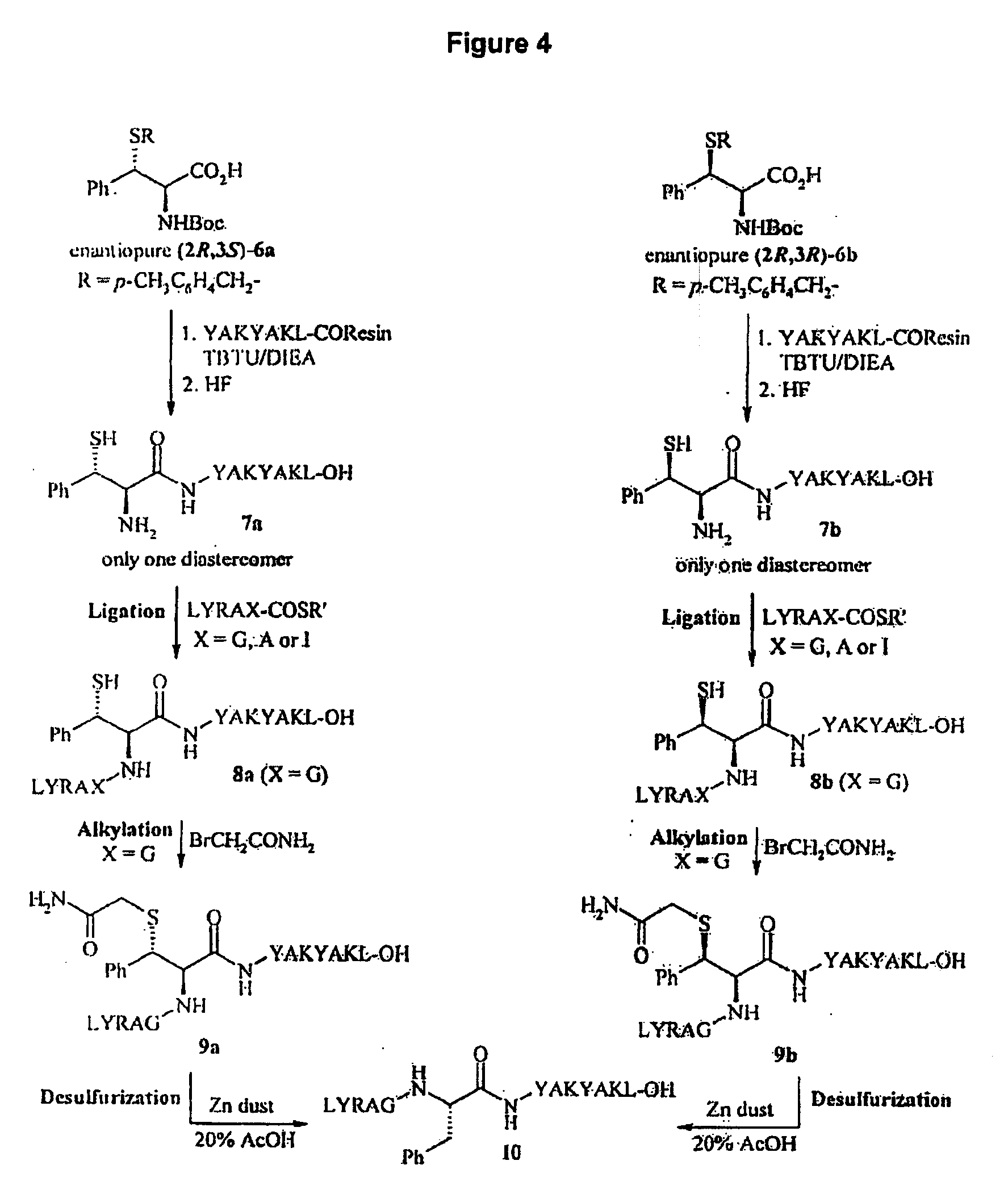 Side-Chain Extended Ligation