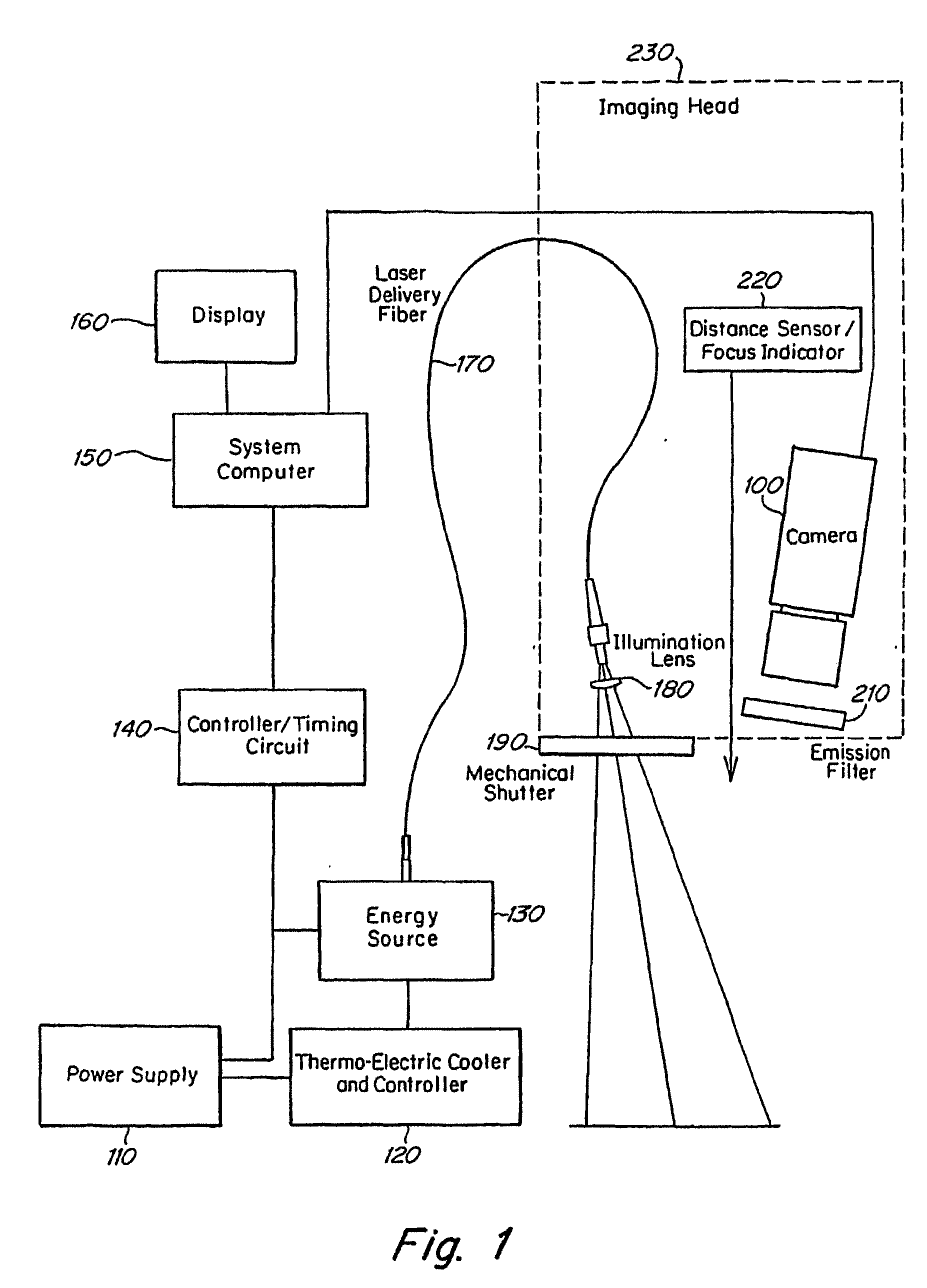 Real time imagining during solid organ transplant