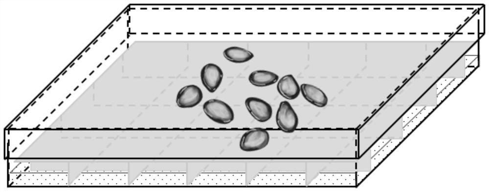 Method for improving germination potential of melon seeds and method and kit for obtaining germination potential melon seeds