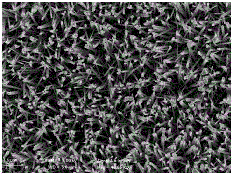 Preparation method for Au-Ag co-modified N-doped ZnO nanorods and application of ZnO nanorods to hydrogen production through photo-electrochemical hydrolysis