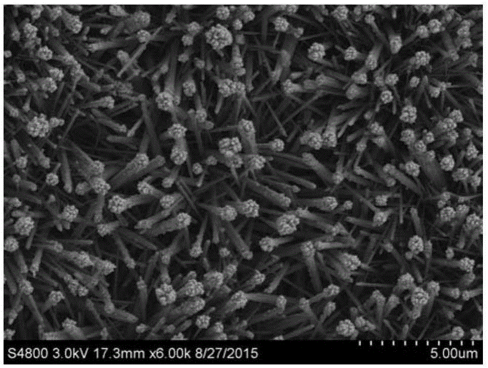 Preparation method for Au-Ag co-modified N-doped ZnO nanorods and application of ZnO nanorods to hydrogen production through photo-electrochemical hydrolysis