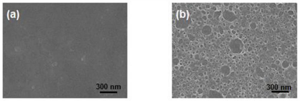 A kind of sulfonated polyphenol nanofiltration membrane and preparation method thereof