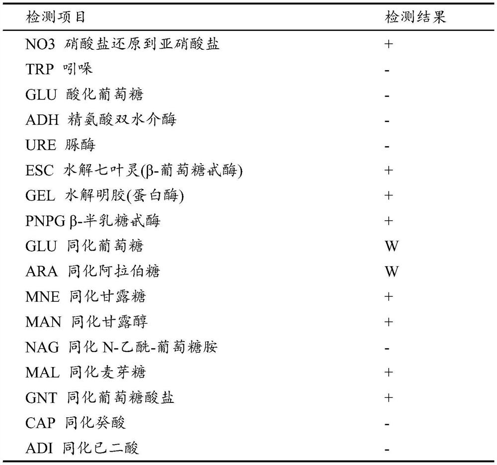 A kind of bacillus polymyxa special fertilizer and its preparation method and application