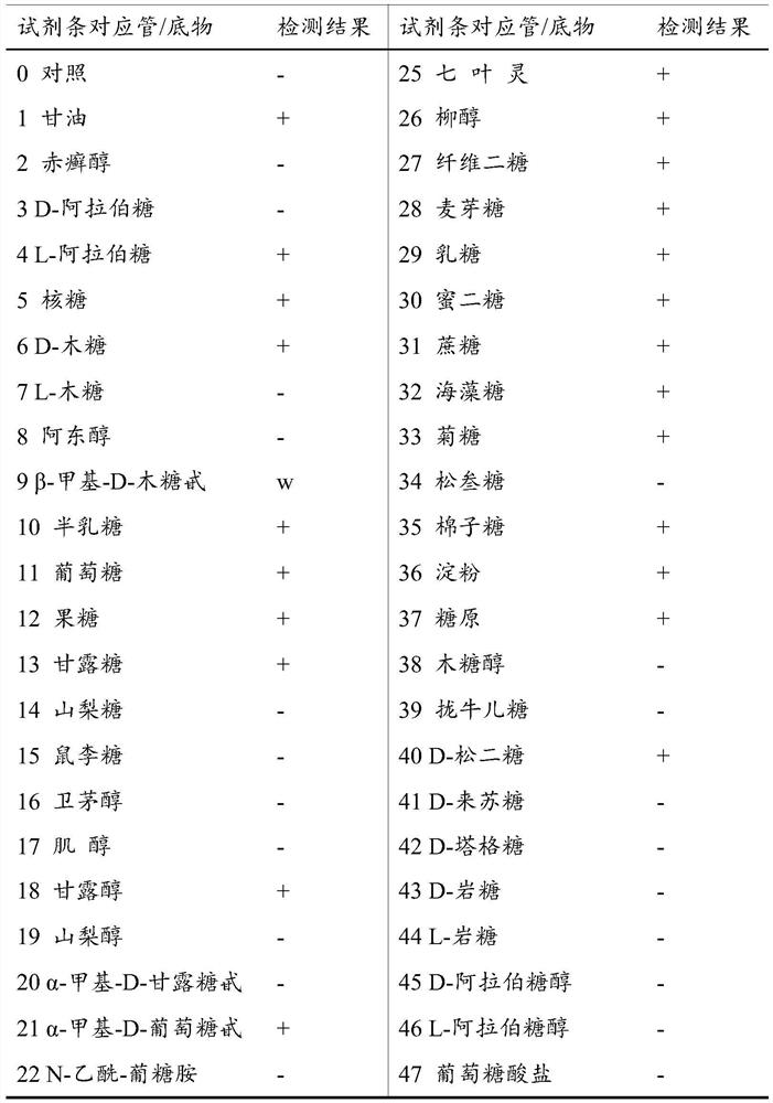 A kind of bacillus polymyxa special fertilizer and its preparation method and application