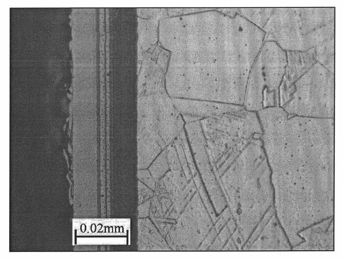 Surface treatment method for improving wear resistance and corrosion resistance of austenitic stainless steel shell