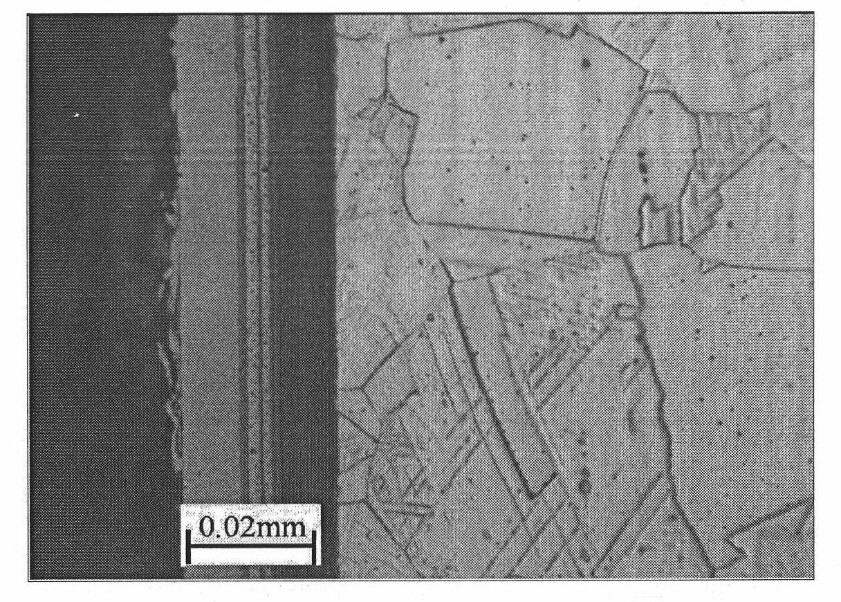 Surface treatment method for improving wear resistance and corrosion resistance of austenitic stainless steel shell