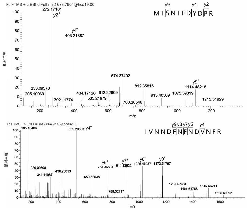 A method for quantification of mrjp2 in honey by liquid chromatography-tandem mass spectrometry