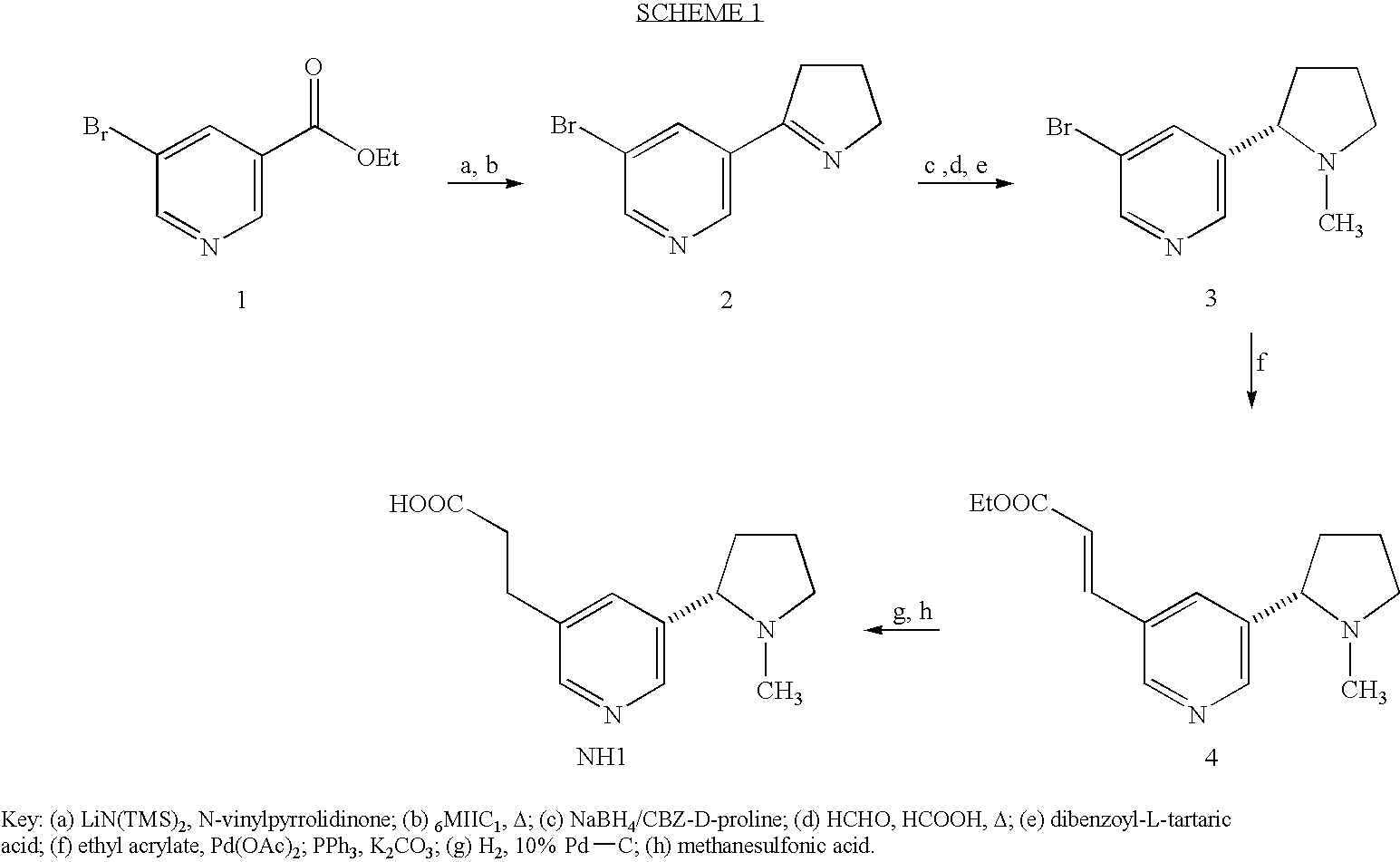 Compositions and compounds for use as molecular adjuvant for a nicotine vaccine