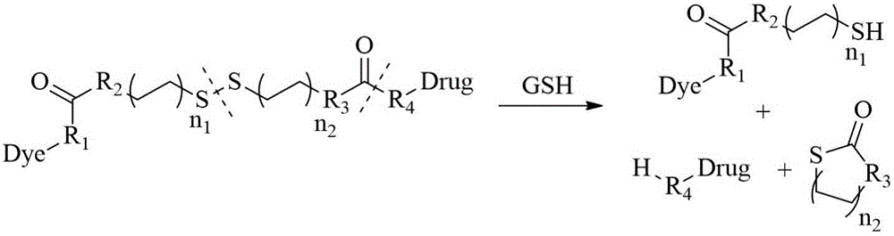 GSH (glutathione) response based diagnosis and treatment integrated organic molecular probe and production method thereof