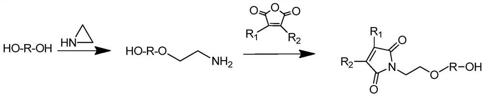 Macromonomer containing lactam structure and its use in preparing polymer polyol