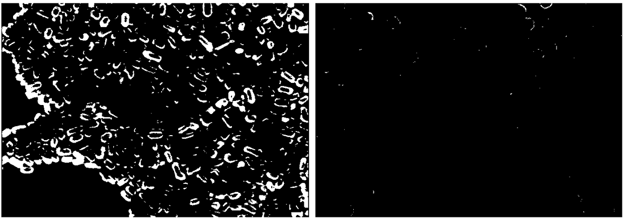 Self-repairing self-lubricating material and preparation method thereof