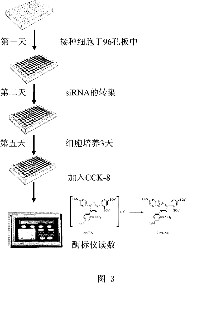 Uses of MAGEA9 gene