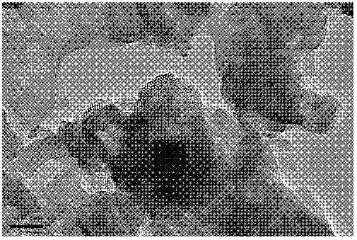 Preparation method of lithium manganous silicate cathode material with mesoporous structure