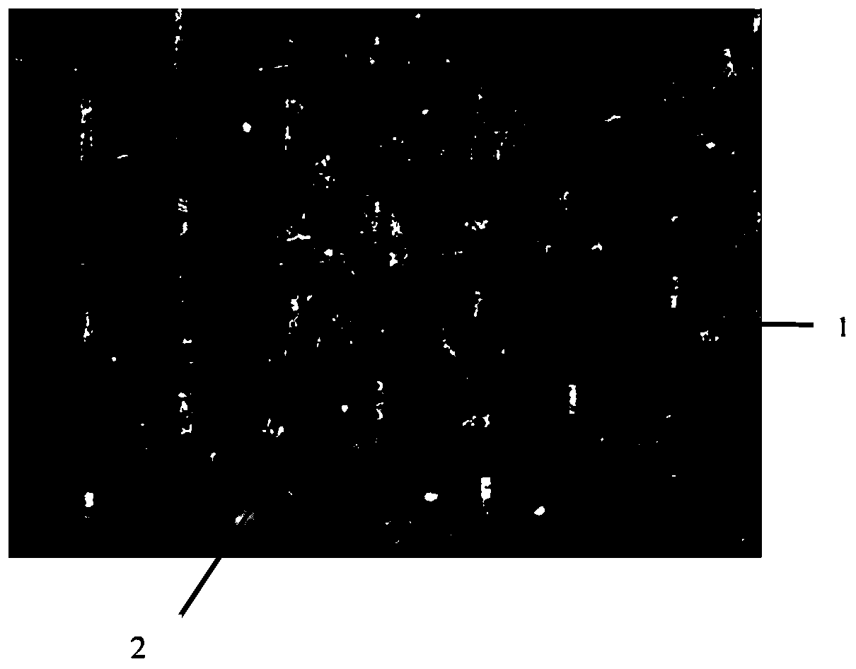 A processing technology for forming a micro-nano multi-level composite structure on a metal surface