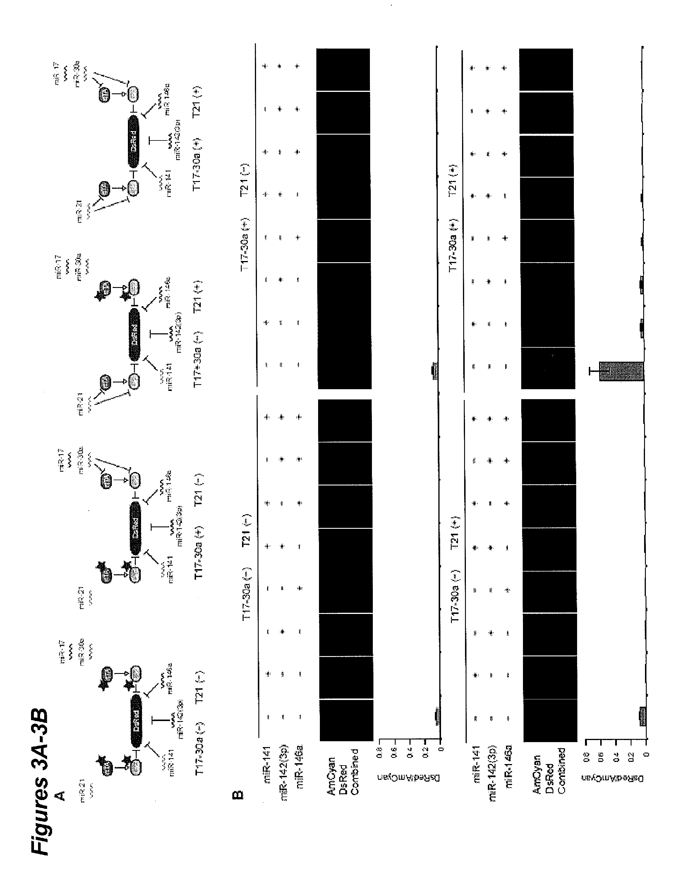 Multiple input biologic classifier circuits for cells