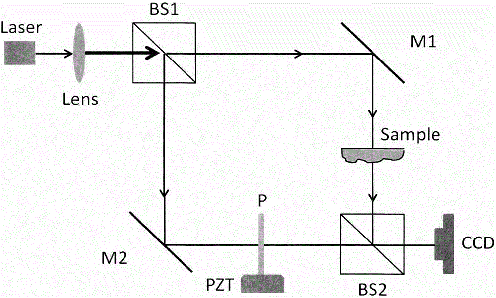 Synthetic phase shifting digital holographic microscopy