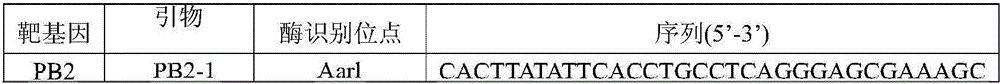 Preparation method and application of recombinant cold-adaptation attenuated influenza vaccine strain