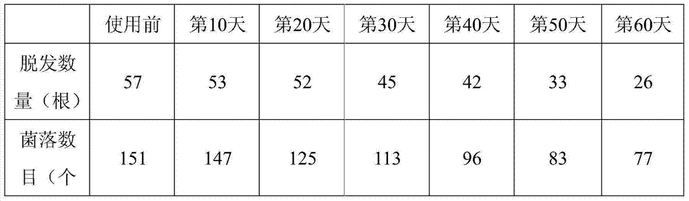 Plant extract composition applicable to androgenetic alopecia, and preparation method and application thereof