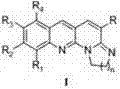 Benzo [b][1,8]-naphthyridine-2-(1H)-imide derivative with antitumor activity and synthetic method thereof