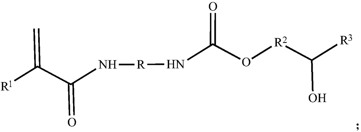 Non-isocyanate polyurethane monomer and preparation method thereof