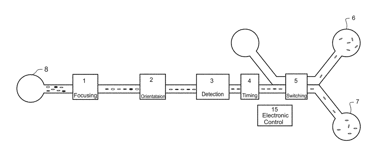 Method and system for microfluidic particle orientation and/or sorting