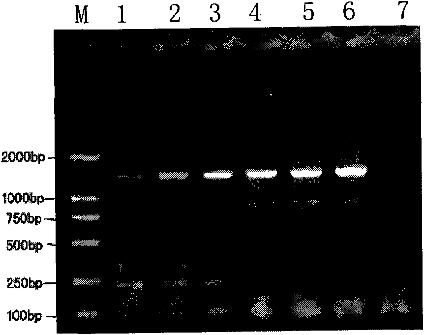 Method for manufacturing adjustable liver injury animal model and special carriers thereof