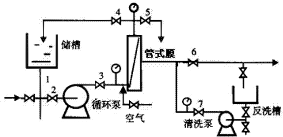 Method for fast clarification of freshly squeezed bayberry juice