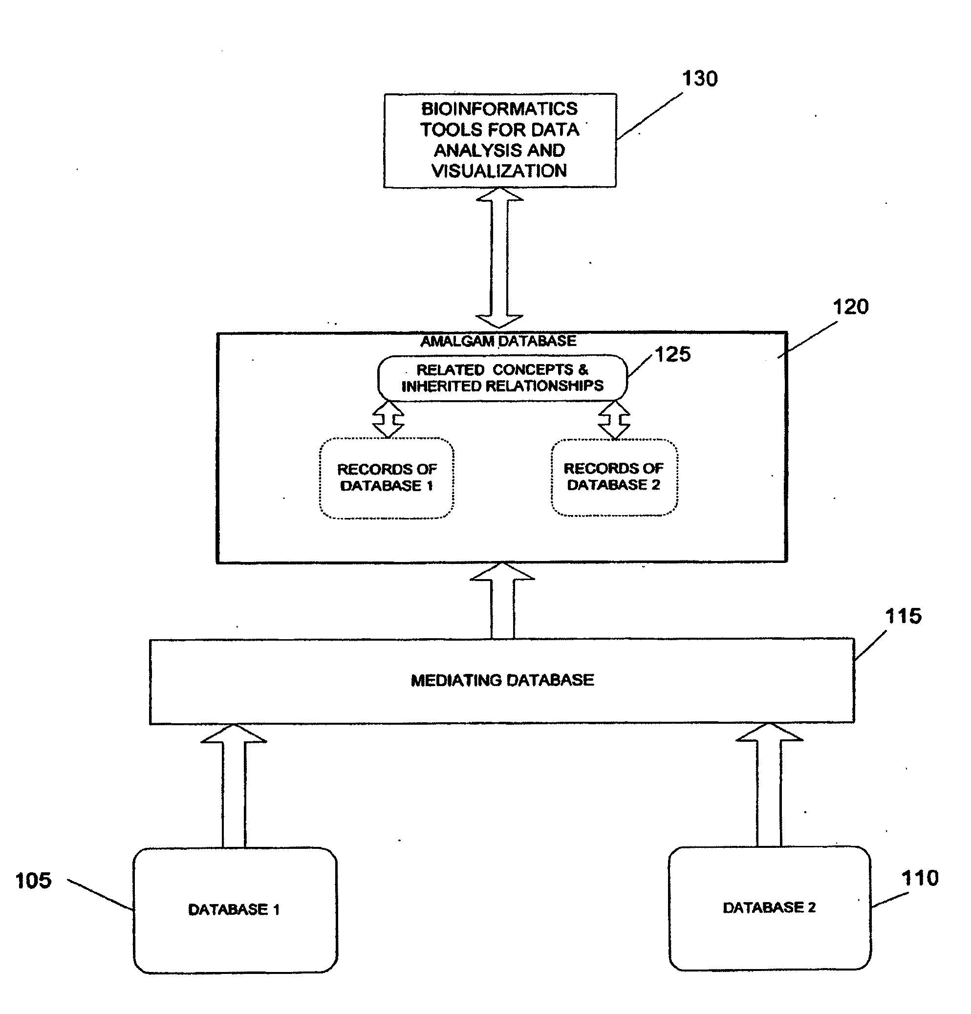 System And Method For Generating An Amalgamated Database