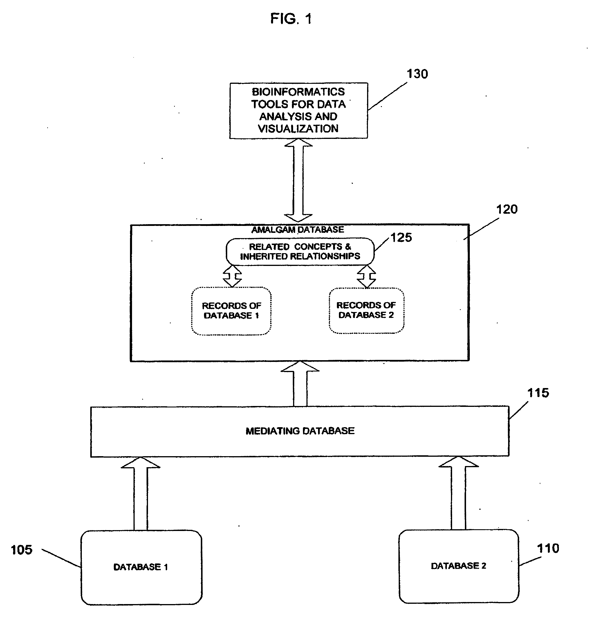 System And Method For Generating An Amalgamated Database