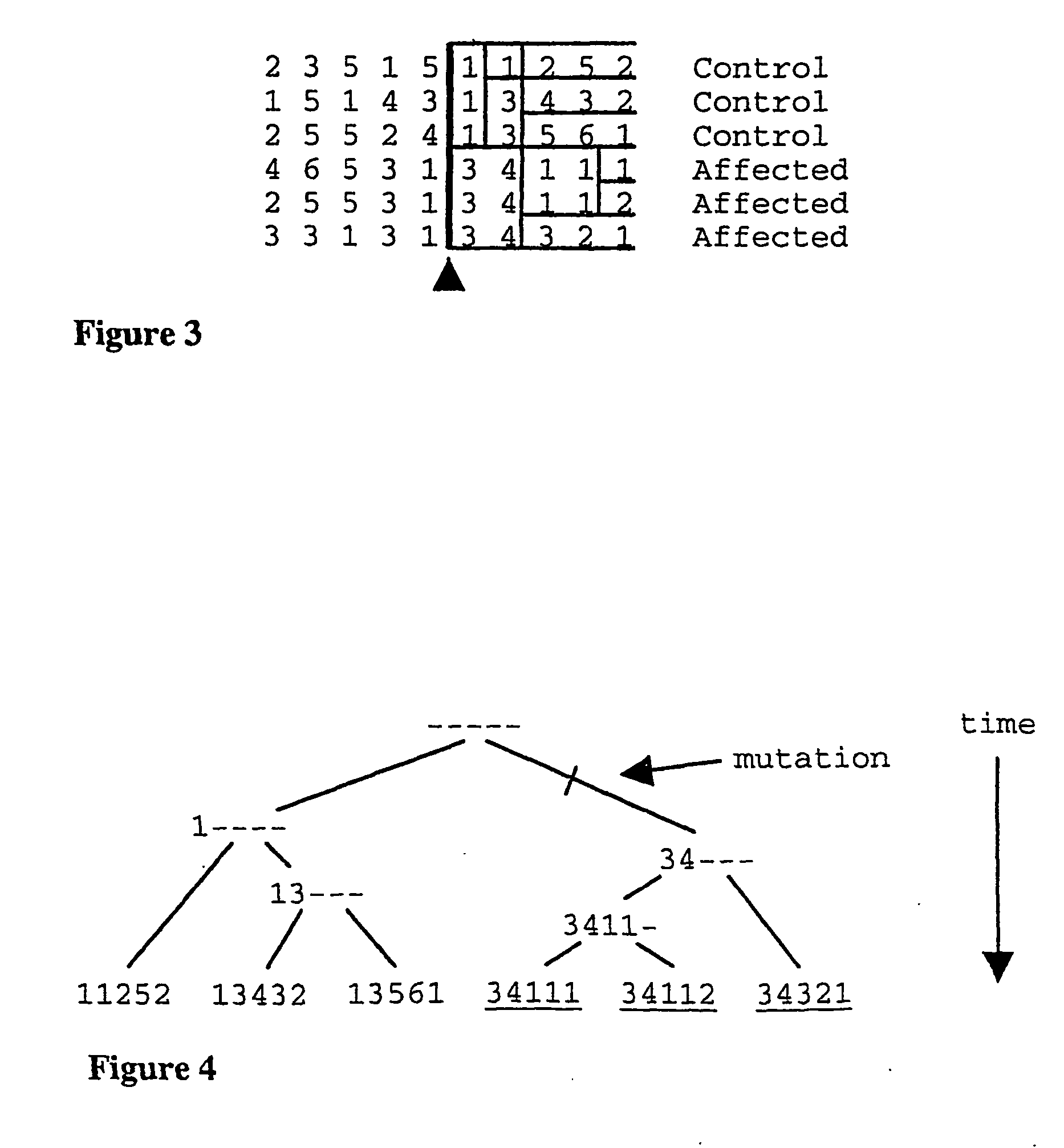 Method for gene mapping from chromosome and phenotype data