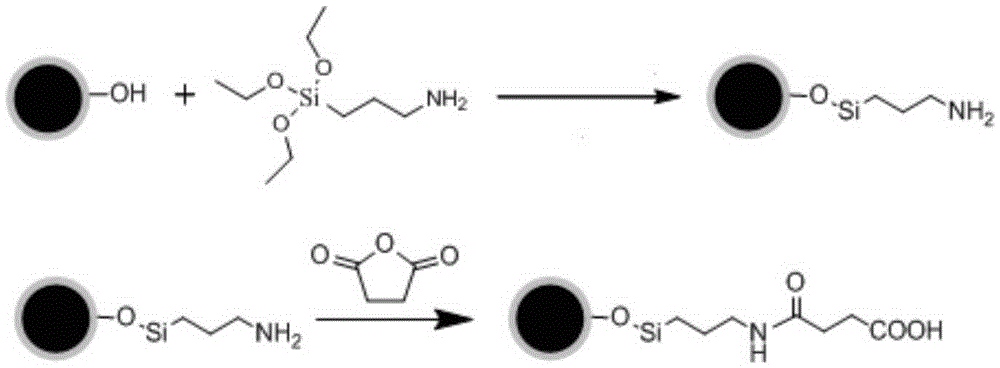 Magnetic microspheres for coupling primary amino-containing bioligands and preparation method thereof