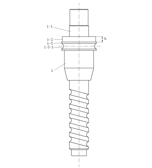 Assembly tool and assembly process for screw bearing of automobile steering device