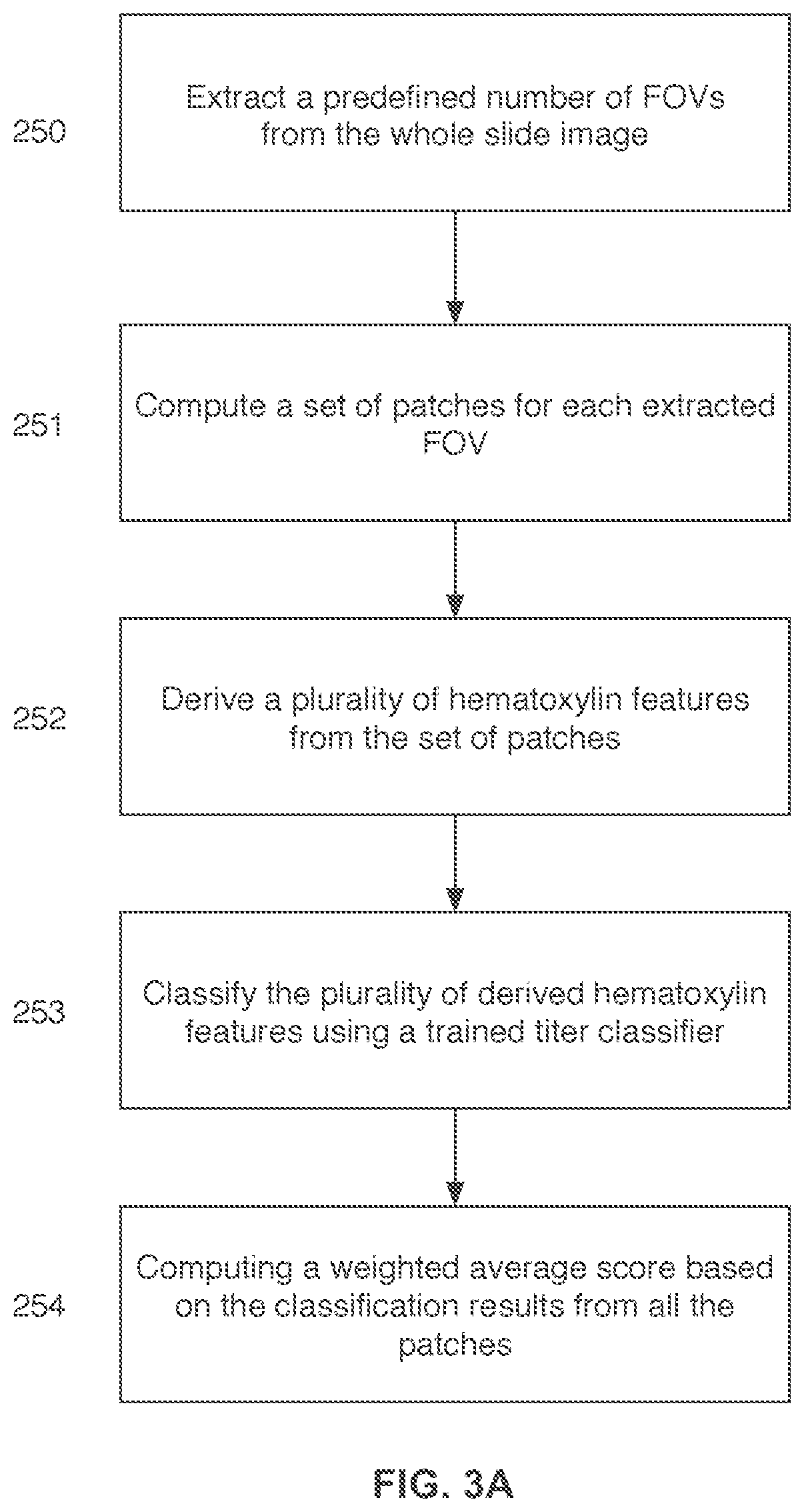 Automatic assay assessment and normalization for image processing