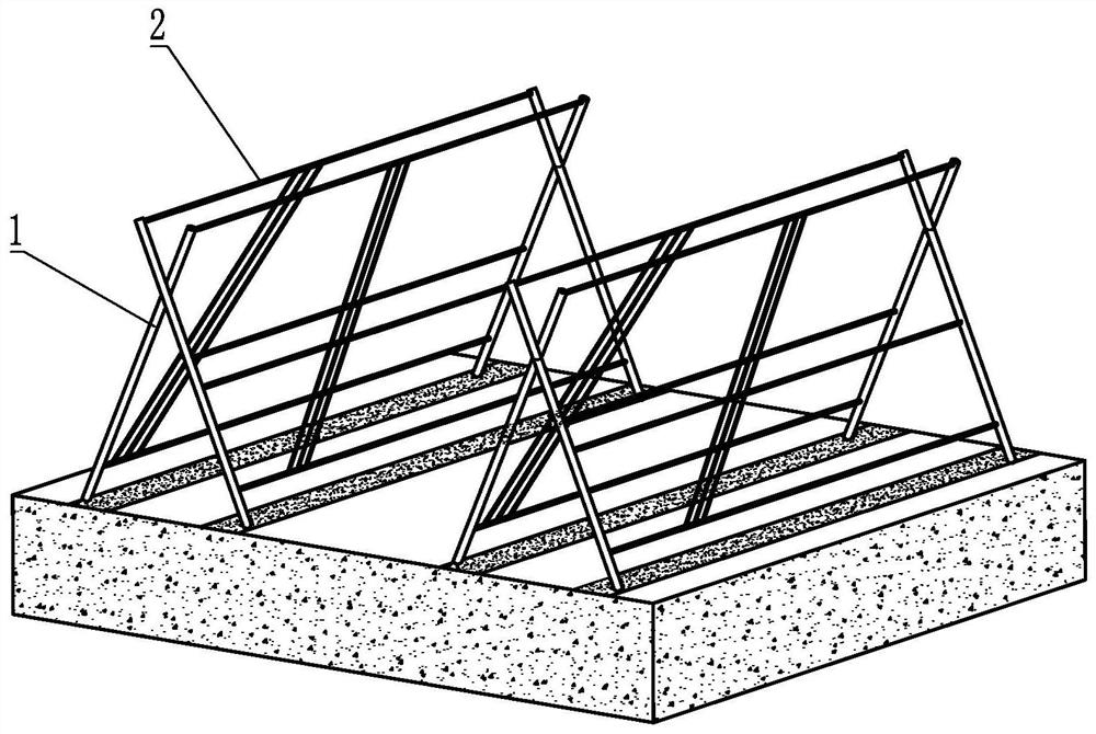 A new method of kiwi fruit "x" type frame cultivation