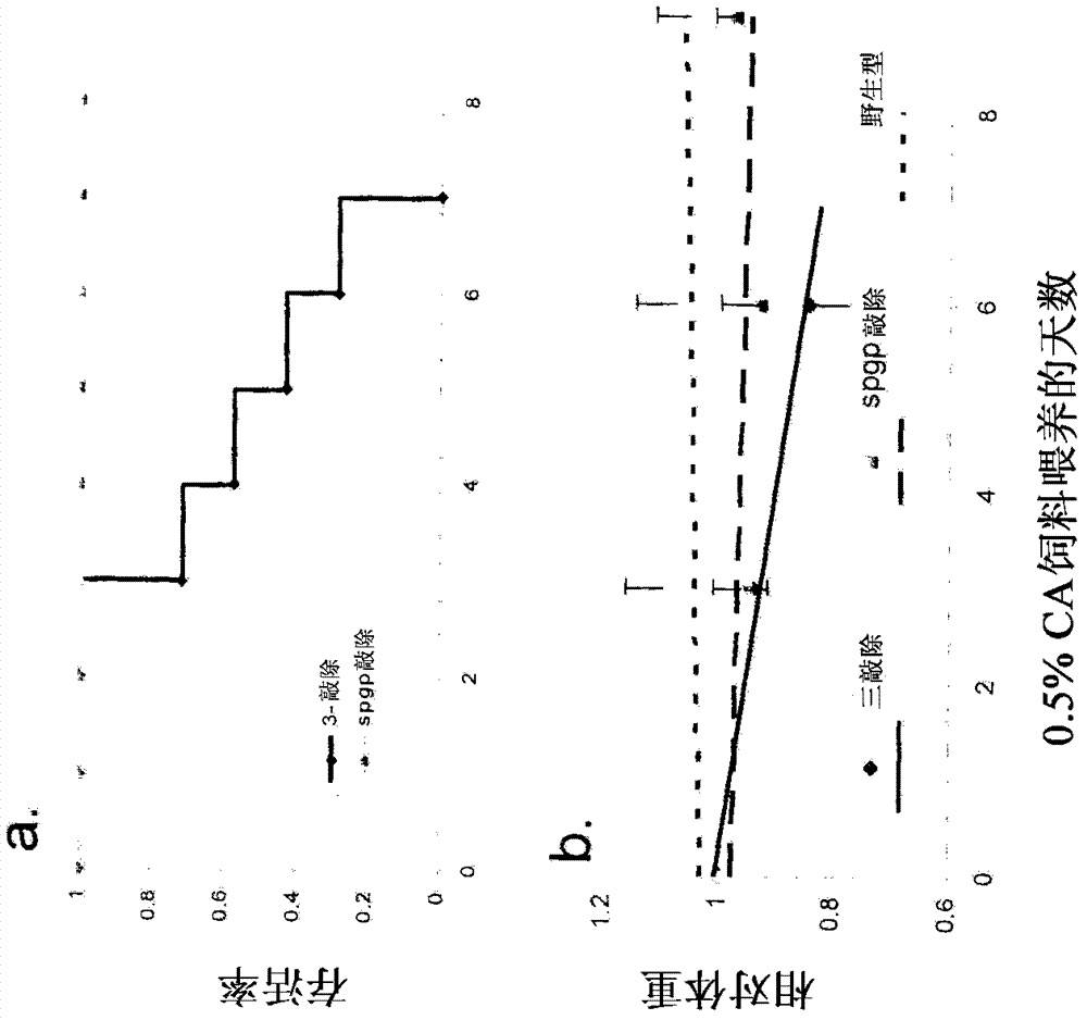 Polyhydroxylated bile acids for treatment of biliary disorders