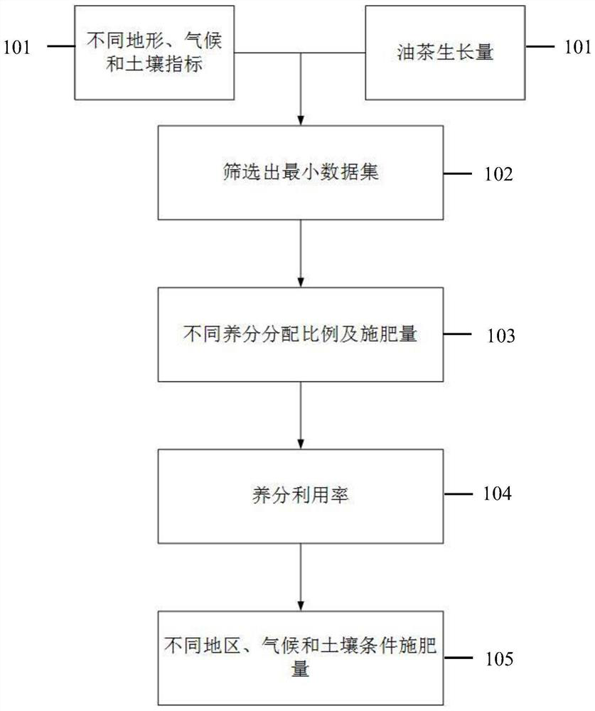 Formula fertilization method for young Camellia oleifera forest