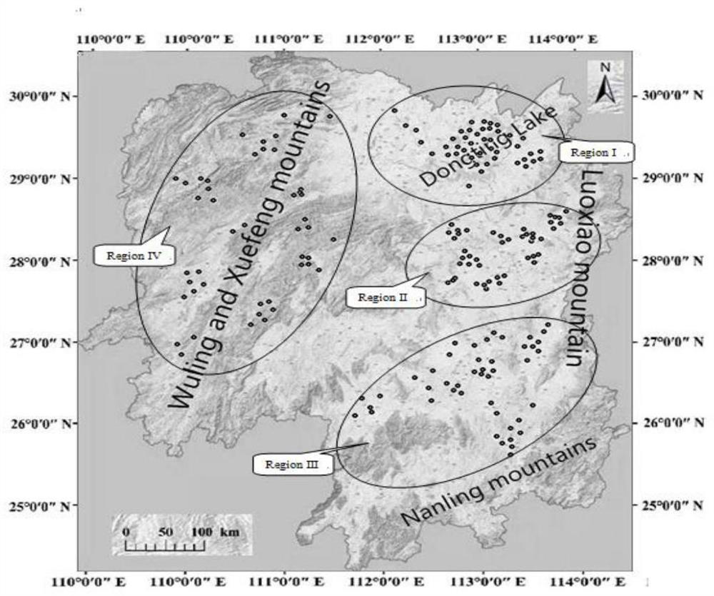 Formula fertilization method for young Camellia oleifera forest