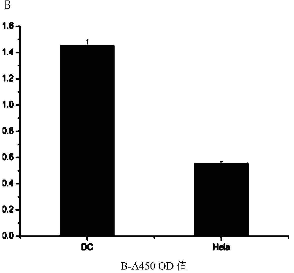 Dendritic cell targeted peptide, coding gene and application