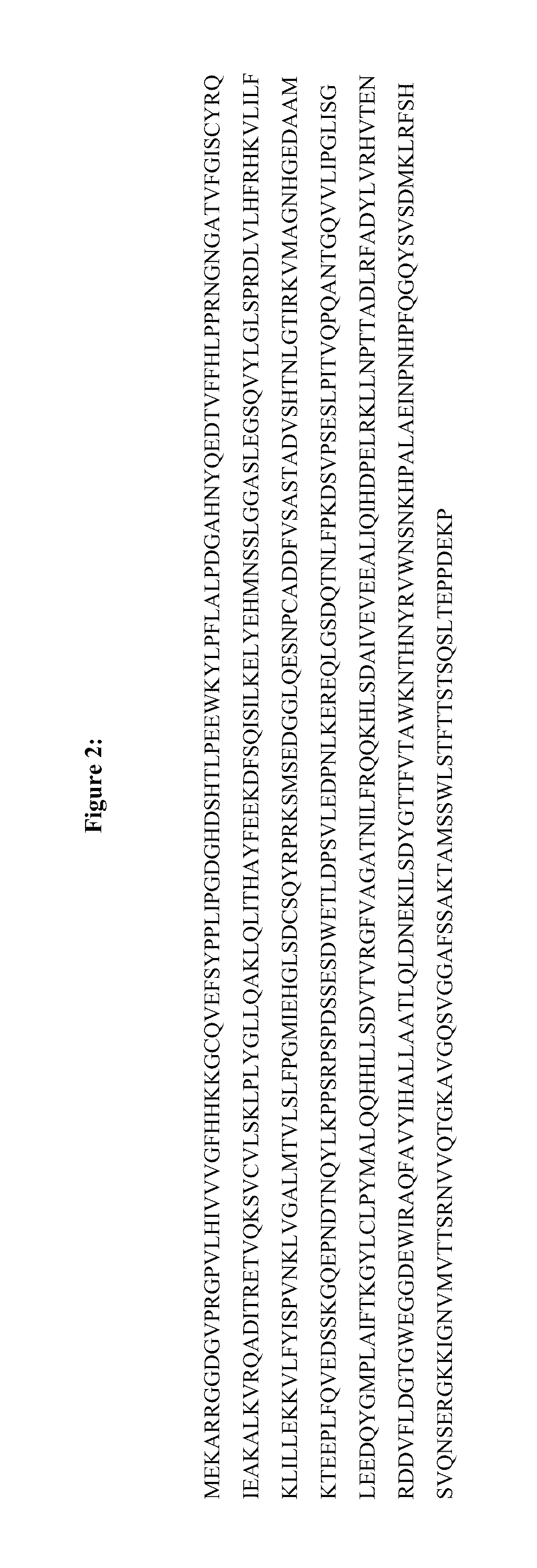 Methods for the diagnosis and treatment of cancer based on AVL9