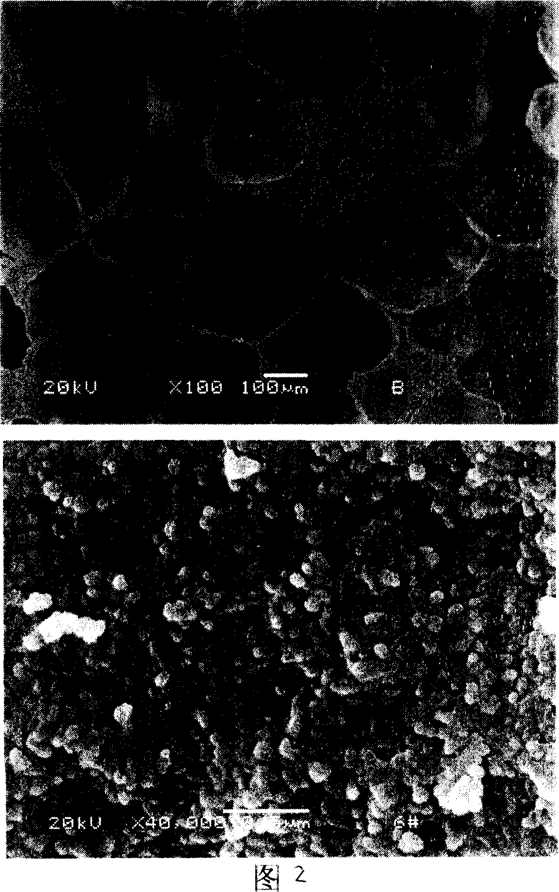 Preparation method and apparatus of nano porous biologic ceramics