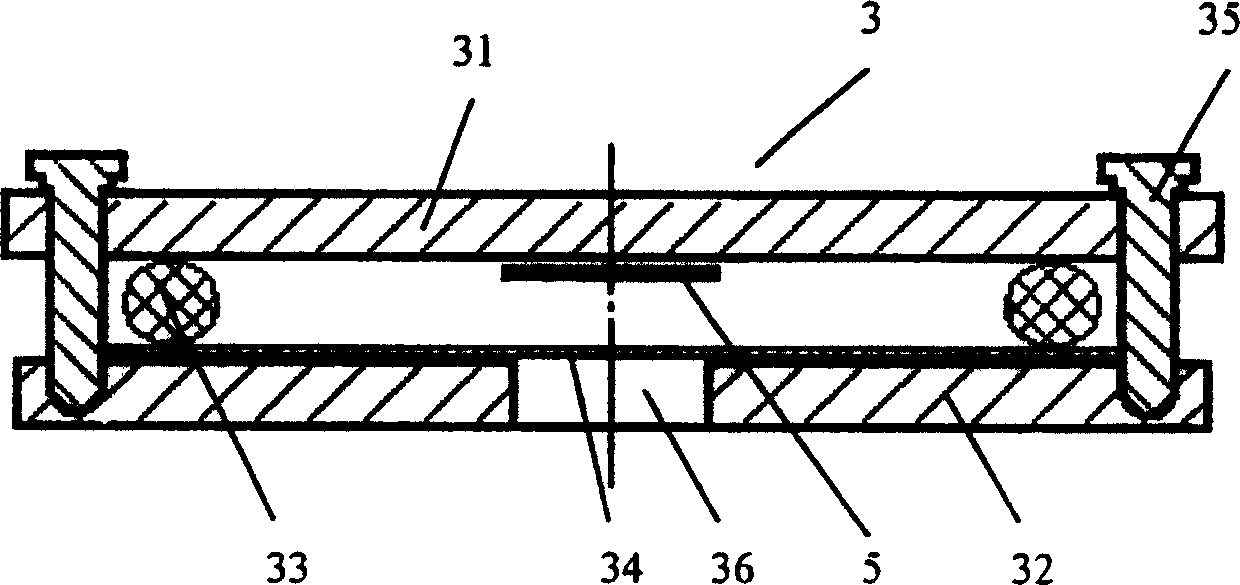 Method and device for identifying pathogenic influence of concurrent bacteria infection against poultry influenza virus infection