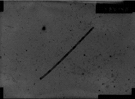 Method for producing metallic nanomaterials through femtosecond lasers