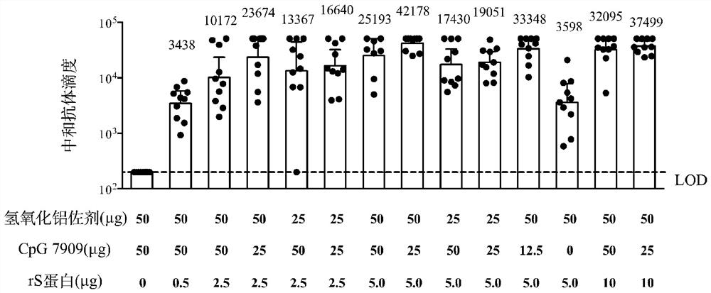 Recombinant novel coronavirus vaccine composition