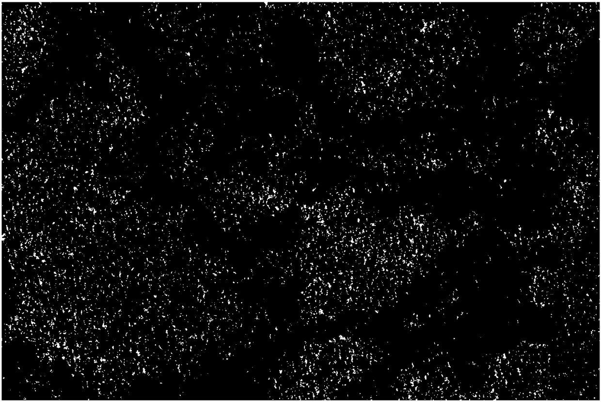 Sialyloligosaccharide-platinum nanoparticle, preparation method and use thereof in immunodetection of influenza virus