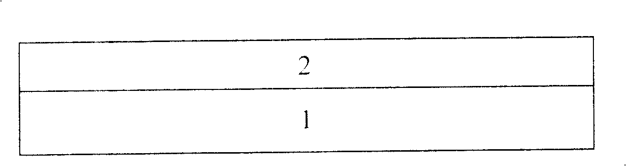 A method for preparing the nano-electrode with the negative electronic erosion-resisting agent