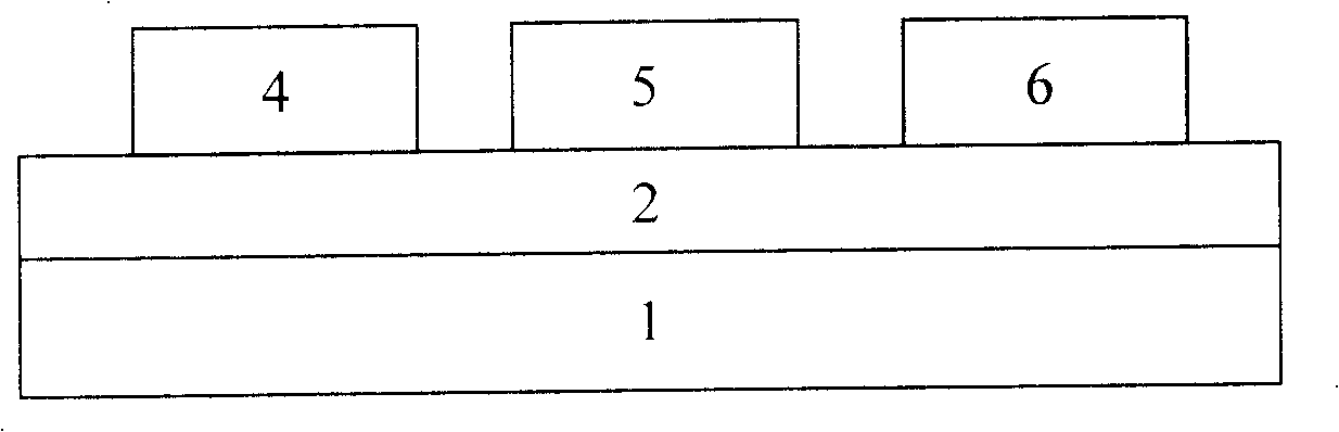 A method for preparing the nano-electrode with the negative electronic erosion-resisting agent