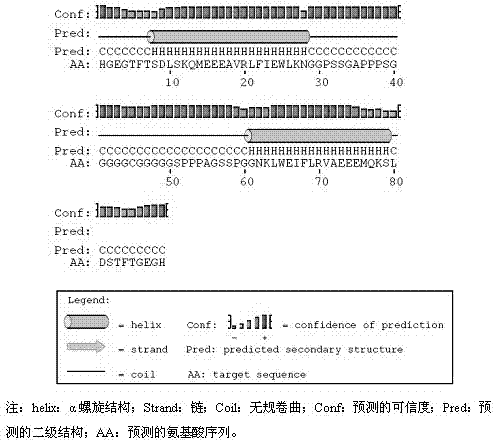 Drug fusant of specific binding GLP-1 (Glucagon-like peptide-1) receptor