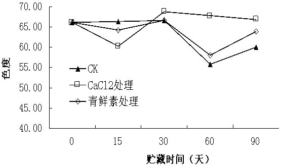 Anticorrosive storage method for helianthus tuberosus tubers